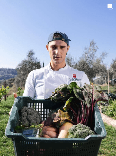 Curated culinary post 2